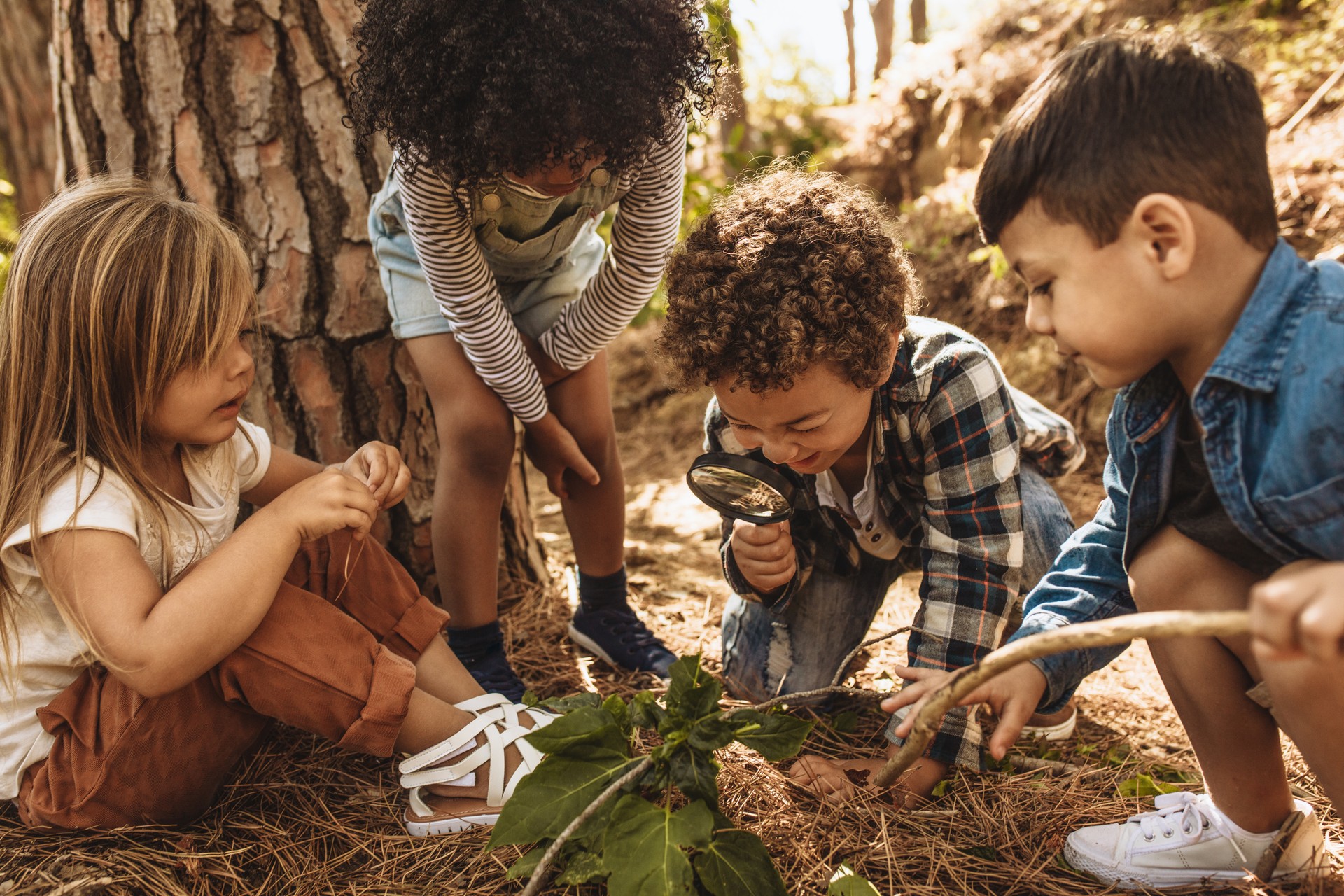 Bambini nella foresta con una lente d'ingrandimento